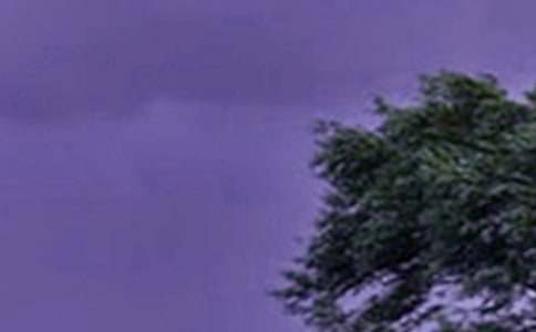 臺(tái)風(fēng)通知范文通用