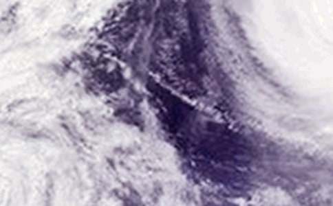 (優(yōu))臺(tái)風(fēng)的'通告