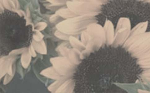 ̫ꖻ����Bֳ������ע�����