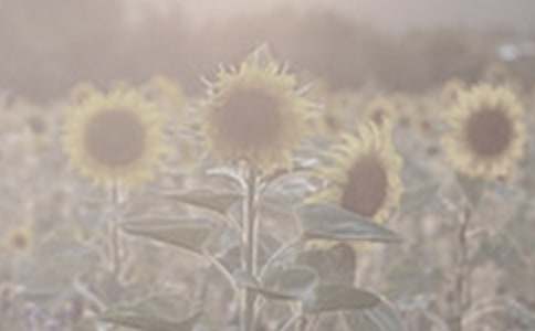 �����x��̫�(y��ng)����������ƪ