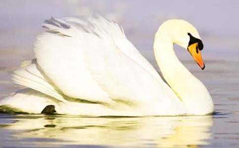 ���Zһ���^�R·����