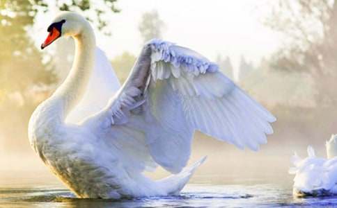 ���Z�Ĺ��½̌W(xu��)���