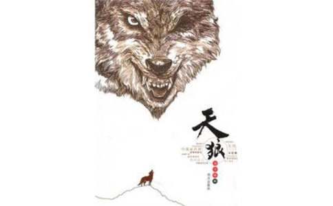 《天狼》讀書筆記集合(4篇)