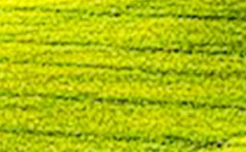 ��Ұ��������(�R��15ƪ)