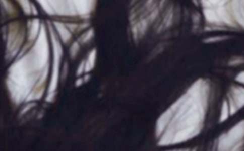 (��)���^�l����15ƪ