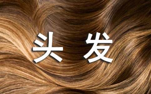 ������������^�l(f��)���x���