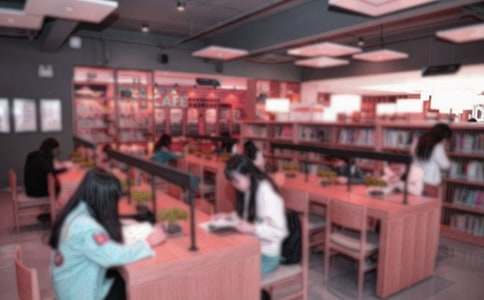 圖書管理員試用期工作總結(jié)