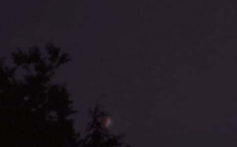 常用個(gè)性晚安文案45句