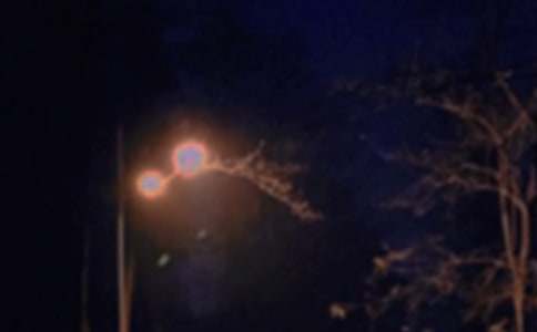 ����Ψ�������İ���ȫ��ͨ��55�䣩