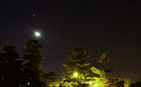 最新個性晚安寄語大全(通用175句)