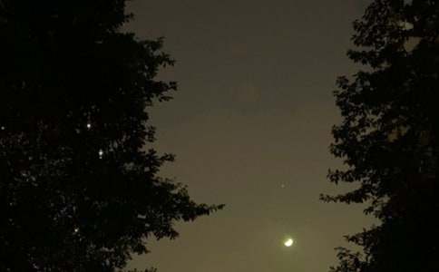 �P���������İ����L����