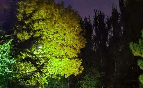 關(guān)于個性晚安文案195句精選