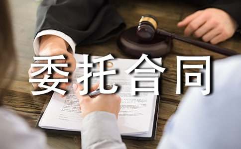 商業(yè)設(shè)計(jì)委托合同