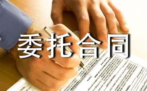 設(shè)計委托合同合集15篇