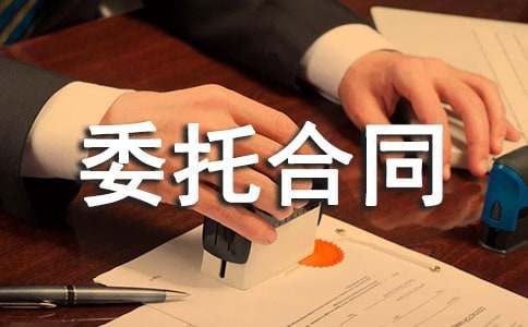 (推薦)企業(yè)設(shè)計委托合同