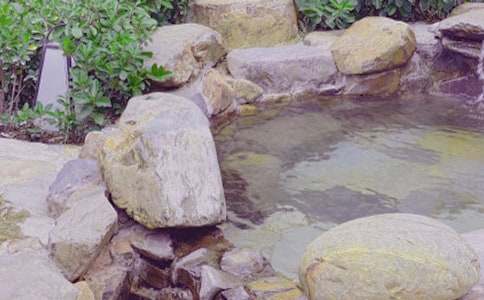 ��Ȫ֮������(���x)