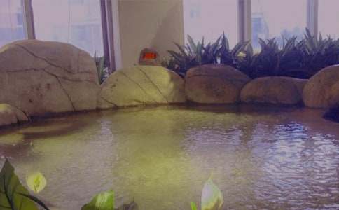 (���T)�ݜ�Ȫ����