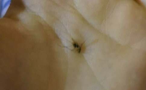 ���������ǵĵ�����