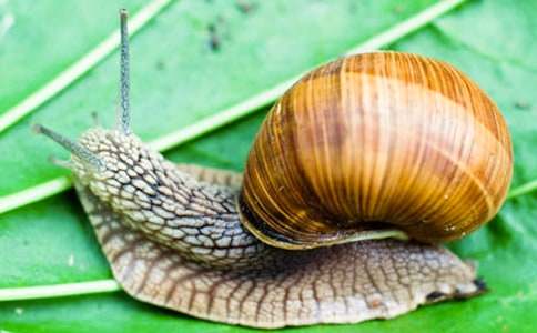 ��С΁�����̌W(xu��)�O(sh��)Ӌ