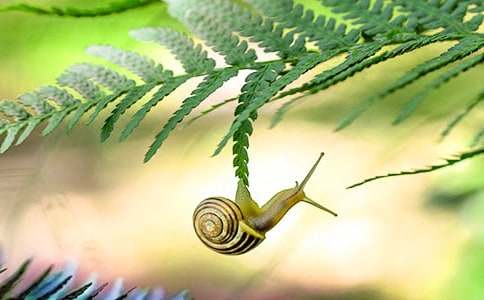 ΁ţ�܌W(xu��)С�W(xu��)����