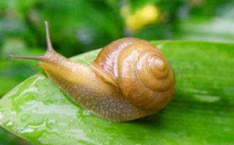 ���ϼ���С�����g(sh��)��ӷ����L��С΁ţ