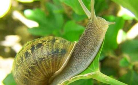 �Ұl(f��)�F(xi��n)��΁ţ����������