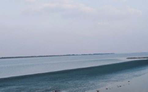 我們看海去作文