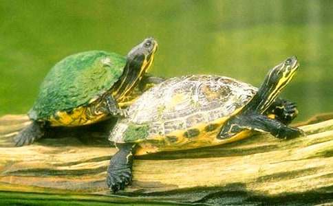 �ҵČ���������ġ����x9ƪ��