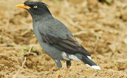 С���f�ۋ����u�n��