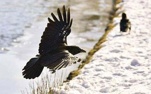 ��ϲ�o��С���f�u�n��(���T)