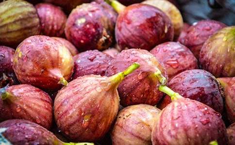 �o��������(�؂�15ƪ)