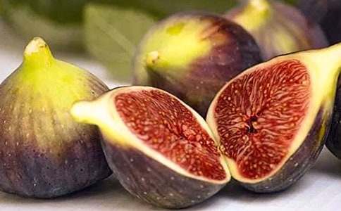 �o�������ľ��A(15ƪ)