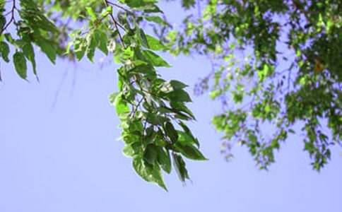 ��(j��ng)���簲�İ������x90�䣩