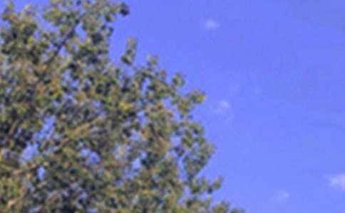 �P(gu��n)���������簲�İ�70��