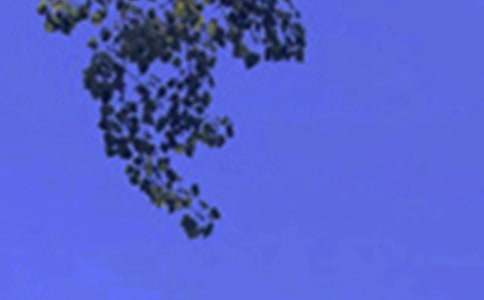 �P(gu��n)���簲�İ���ȫ50�侫�x