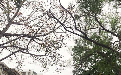 關(guān)于正能量午安文案30句精選