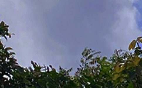 �����ܰ�簲�İ�320��