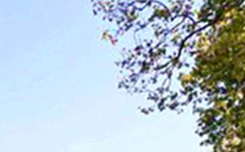 ����Ψ���簲�İ���ͨ��90�䣩