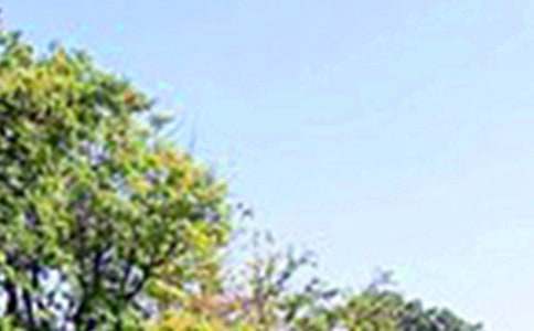 個性午安文案大全(精選100句)