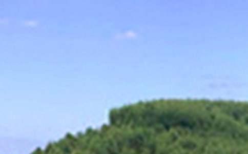 Ψ���簲�İ�50��