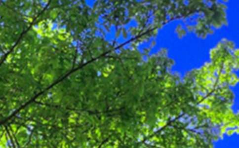 正能量午安文案大全(通用60句)