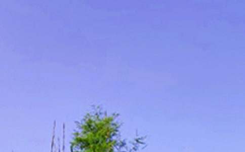 關(guān)于正能量午安文案80句精選