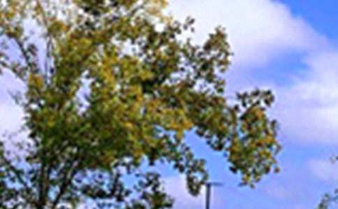 ��(j��ng)���������簲�İ���ͨ��90�䣩