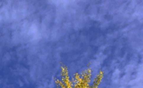 �P(gu��n)��Ψ���簲���Z(y��)40��