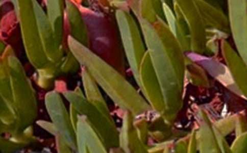 �P(gu��n)���簲�İ���ȫ��ͨ��80�䣩