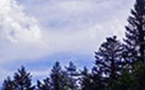 �P(gu��n)�ڄ�־�簲�İ��R�������x80�䣩