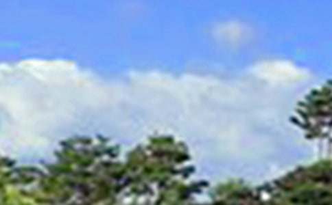 治愈午安文案(精選60句)