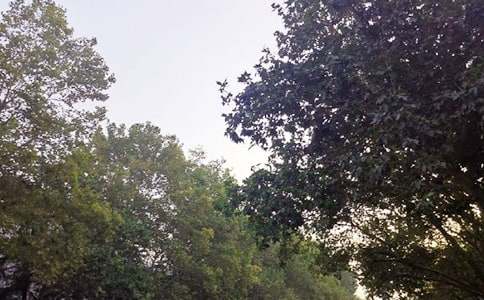 經(jīng)典午安文案90句