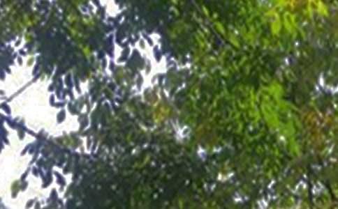 經(jīng)典個性午安文案匯總60句精選