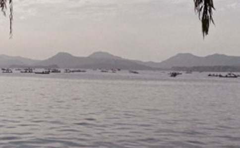 ҹ����������